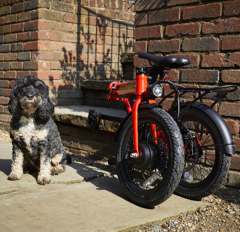 E-Go Lite Folding Electric Bike 250w - Swift Ebike Hub